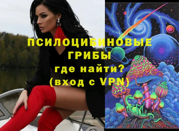PSILOCYBIN Елизово