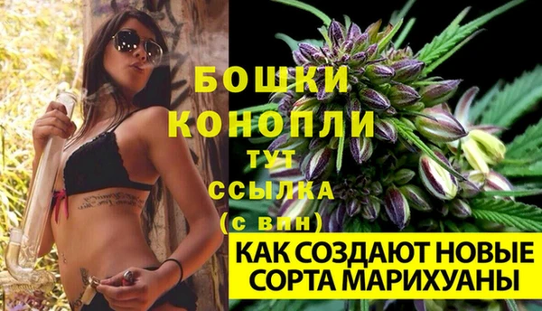 эйфоретик Весьегонск