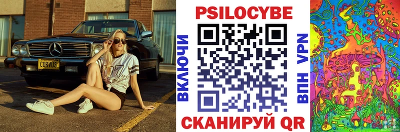 Галлюциногенные грибы Psilocybine cubensis Зеленокумск