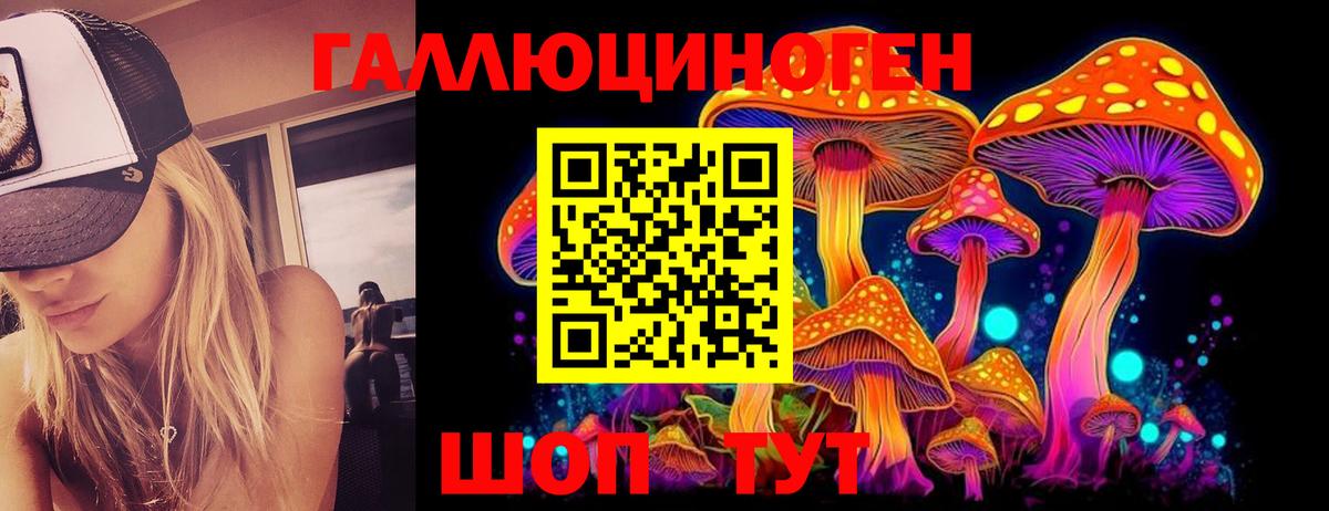 Зеленокумск  Псилоцибиновые грибы Psilocybe  Вход с VPN  Галлюциногенные грибы Cubensis 